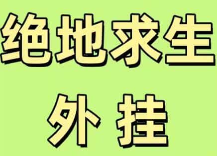 绝地求生保时捷辅助